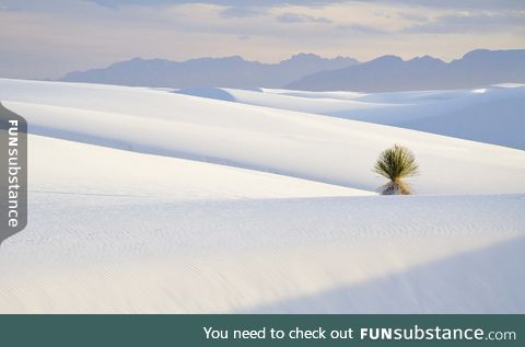 White sands national park, new mexico