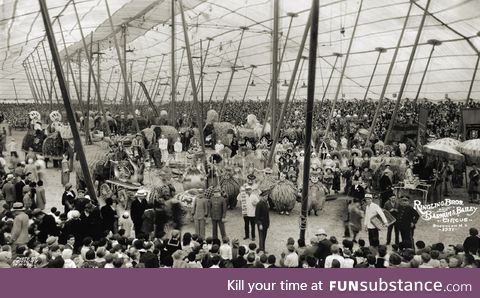 What going to the circus looked like in 1931