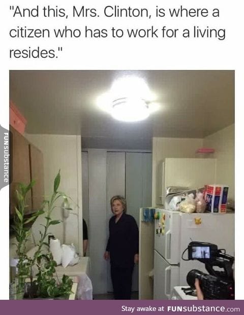 A domesticated Hillary returns to the wild