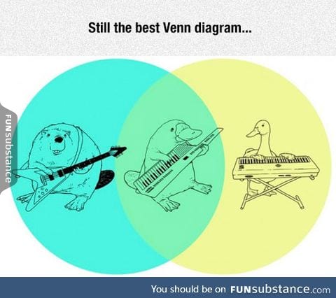 Brilliant venn diagram