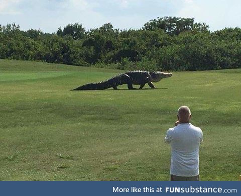 Apparently the next Jurassic World is taking place in a golf course