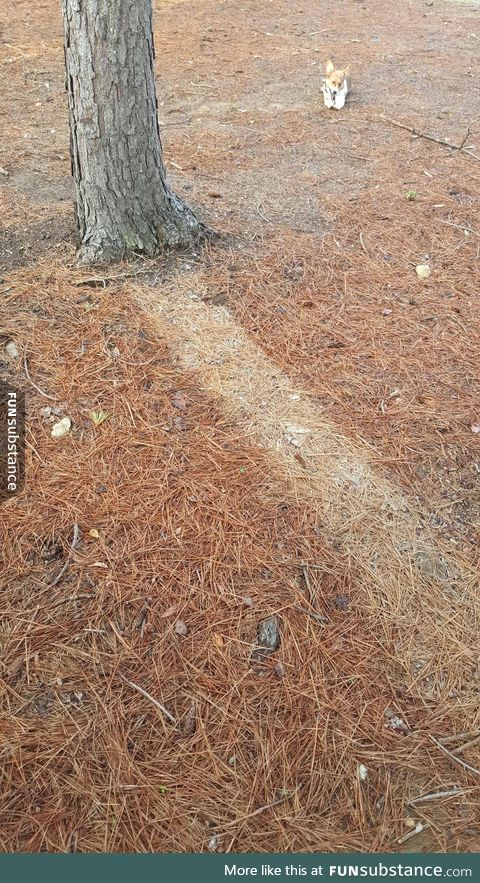 The rain precisely came in one direction leaving this dry spot