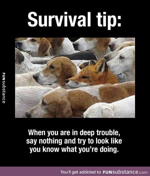 Important survival tip