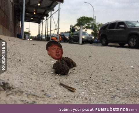 Someone is sticking tiny Donald Trump faces on dog poo