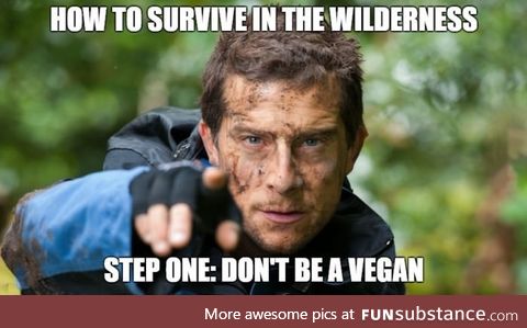 "Man vs Wild" in a nutshell