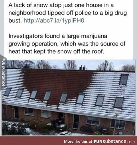 mother nature's a snitch
