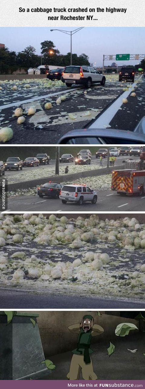 Oh no, my cabbages!