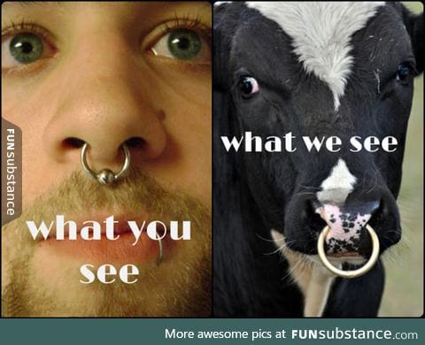 Why Are So Many People Getting a Septum Piercing Lately?