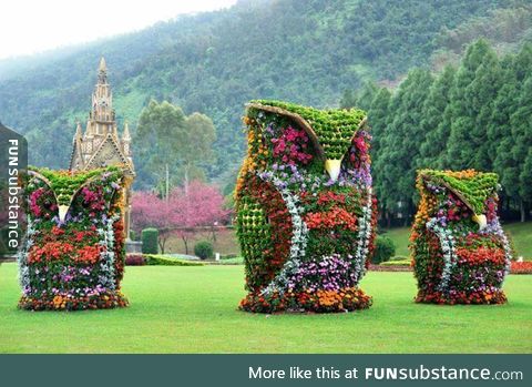 Owl flower sculptures