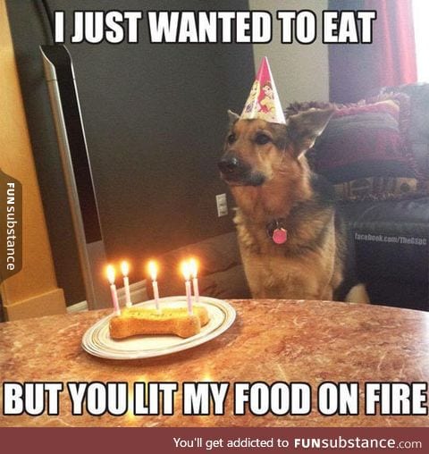 Birthday dog is disappointed