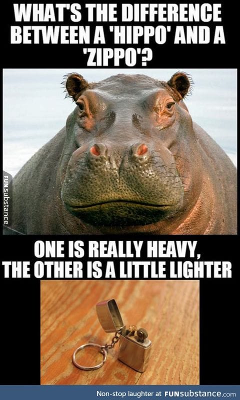 Hippo vs Zippo