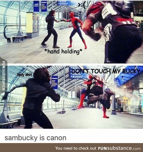 DON'T TOUCH MY BUCKY