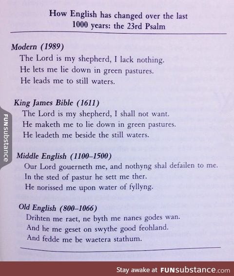 The evolution of English over the past 1000 years