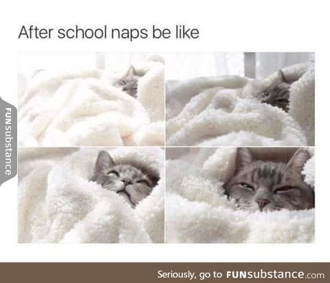 After school naps