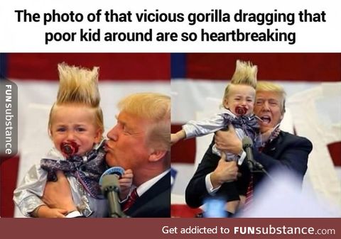 Someone shoot the Gorilla!