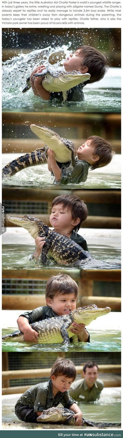 The new steve irwin