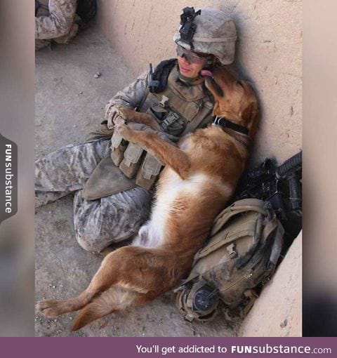 When you dont care its war because you just want cuddles