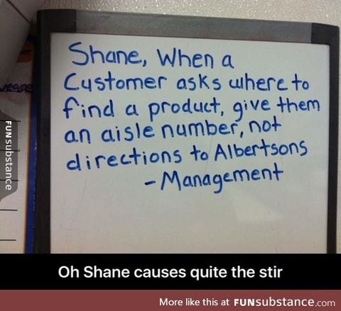 Shane