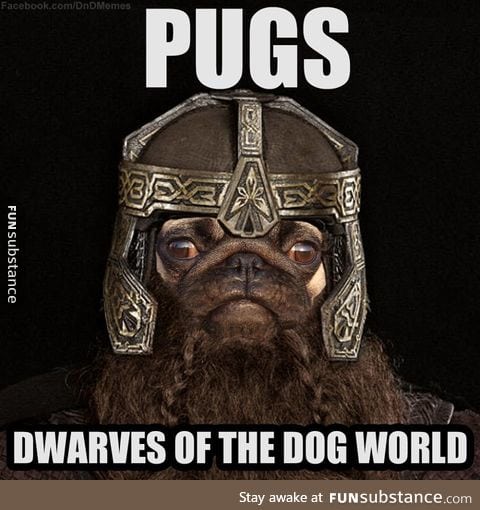 But pugs are definitely tossable