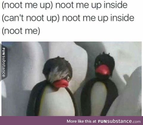 NOOT