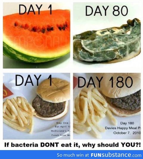 Food decay test: This worries me