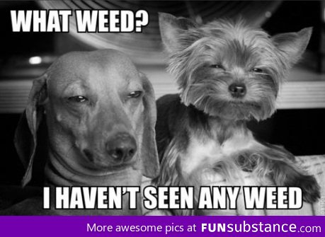 What weed?