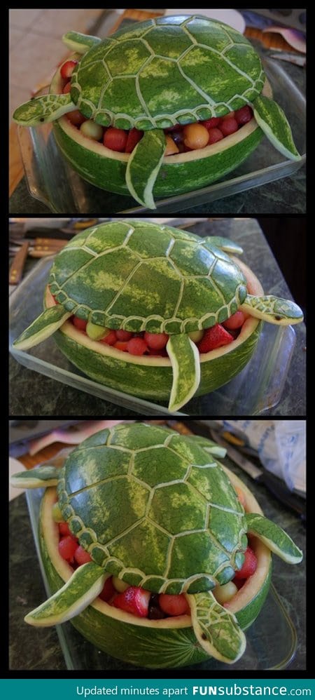 Amazing Watermelon Turtle Art!