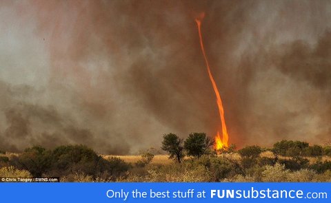 Only in Australia-Fire Tornado