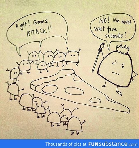 The 5 second rule