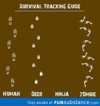 Survival tracking guide