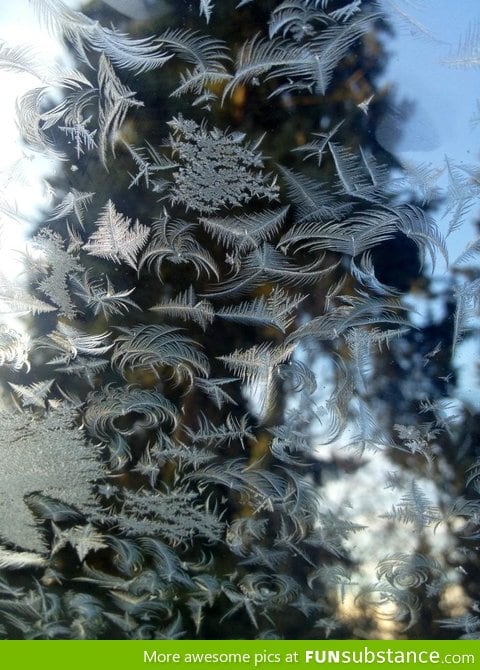 Awesome ice crystals on my windshield