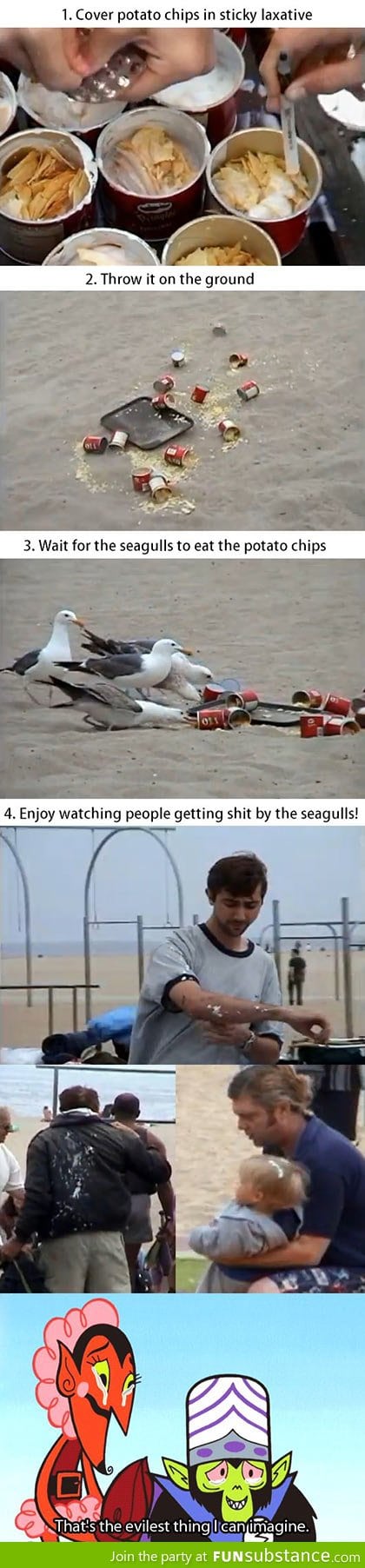 Seagull shit prank