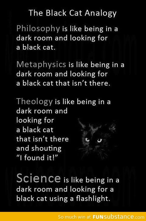 The black cat an*logy