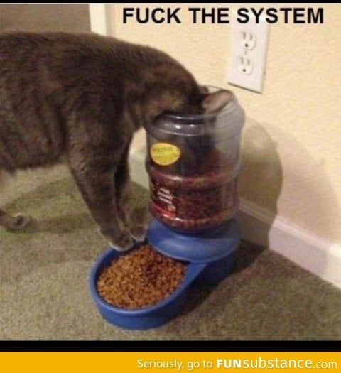 Cat logic