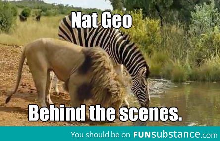 Nat Geo Behind The Scenes