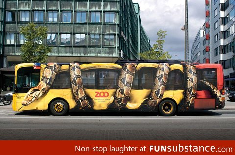 Cool bus design