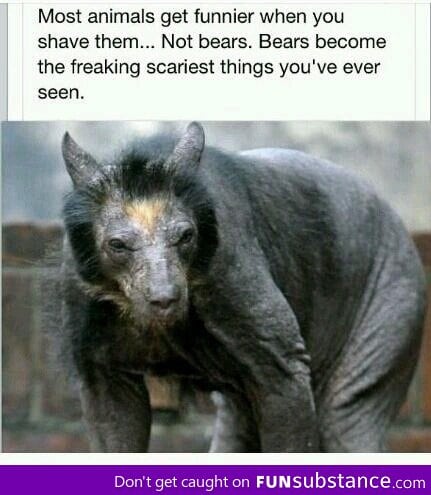 Shaved animals