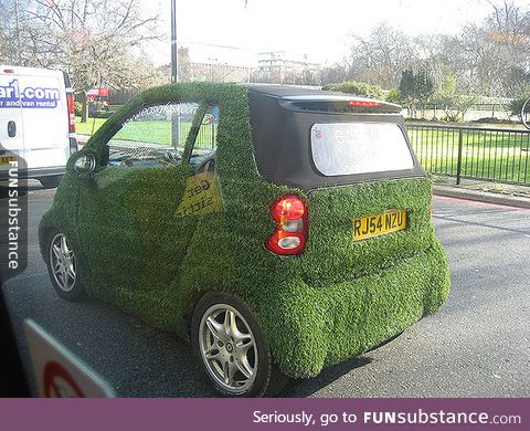 I've heard of green cars, but this is a little much