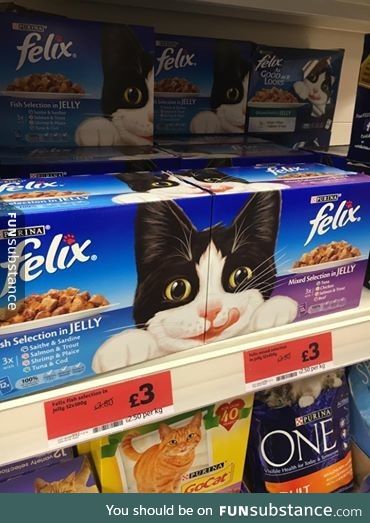 If you place 2 boxes of Felix cat food next to each other, they form a whole cat