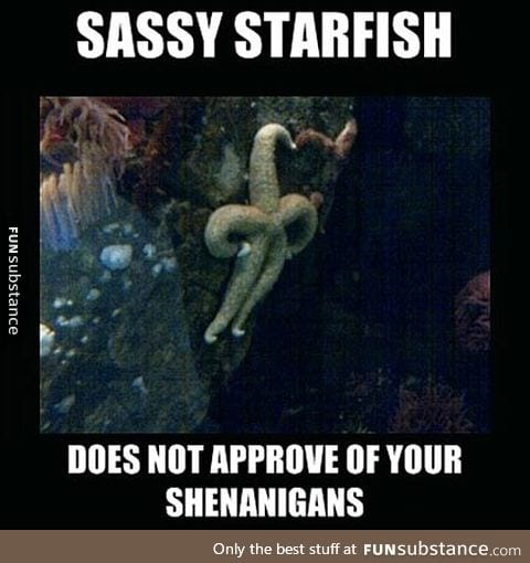 Starfish with an attitude