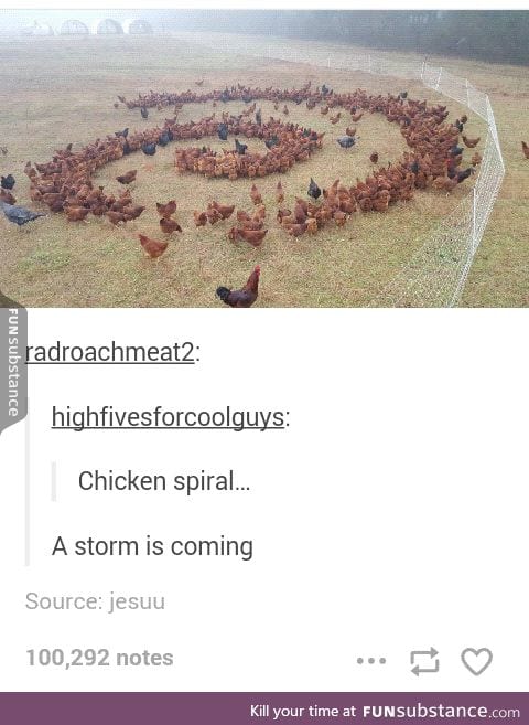 Spoopy chickens