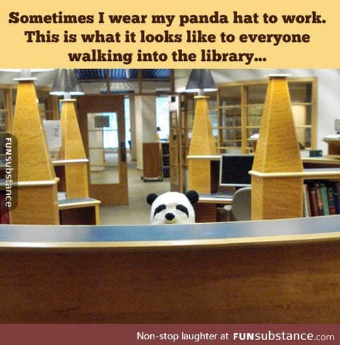 Panda hat