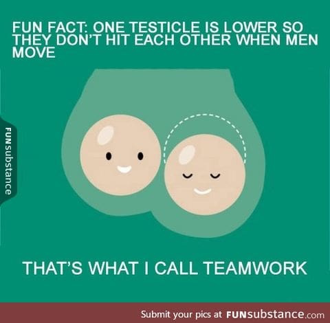 Balls Teamwork