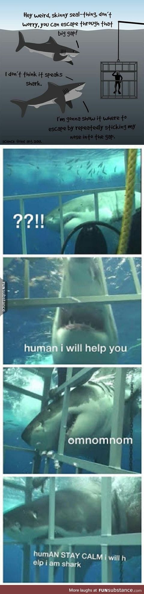 Helpful sharks to the rescue