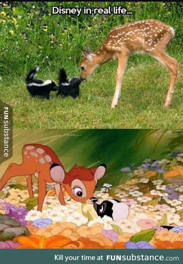 Disney in real life