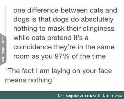 Cats are fluffy adorable assholes