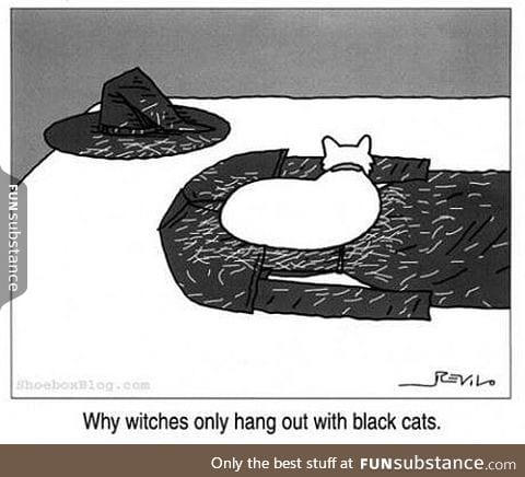 Witches and black cats