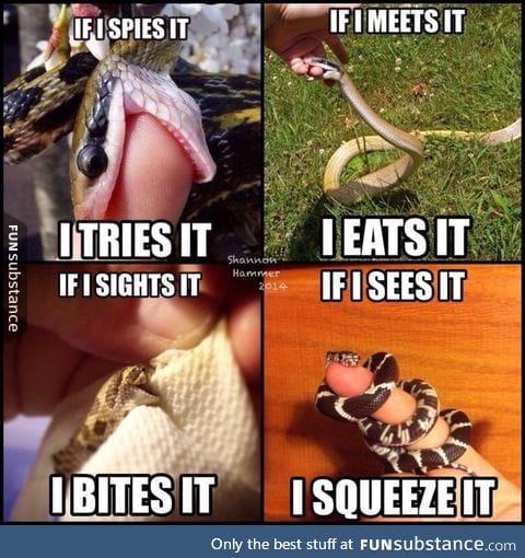 Snek