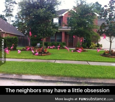 Flamingosssss