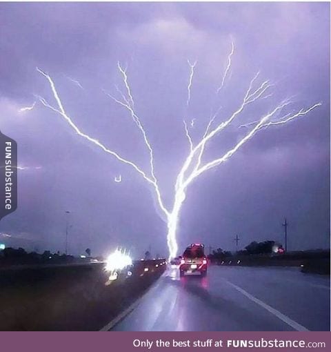 Electric tree